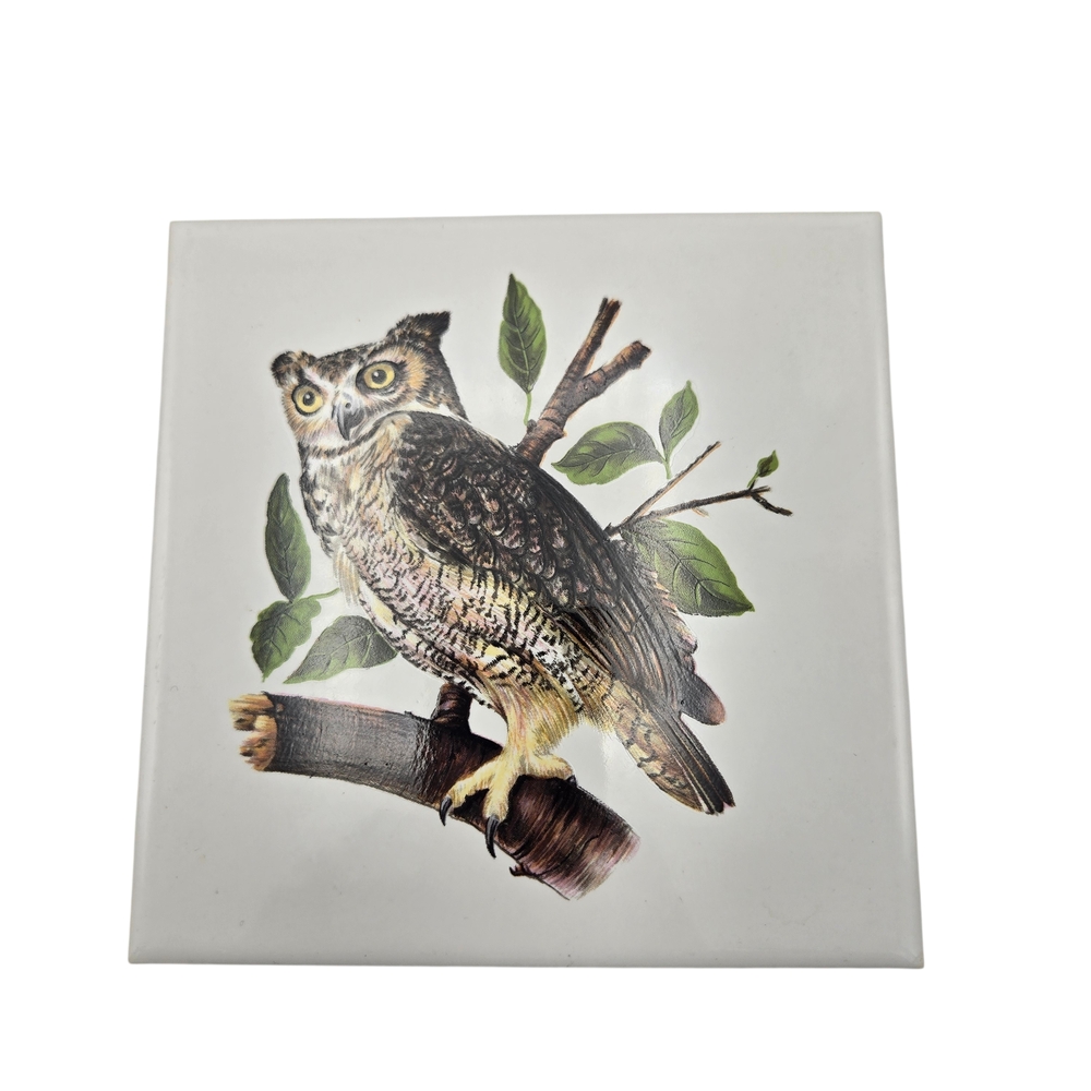 MCM Vintage Hyalyn Owl Trivet Tile Cork Back California Pottery